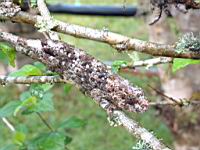 ����� ������