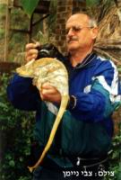 ���� ������ �����, ������